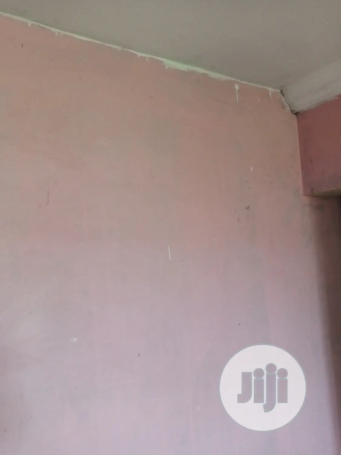 Professional House Painter