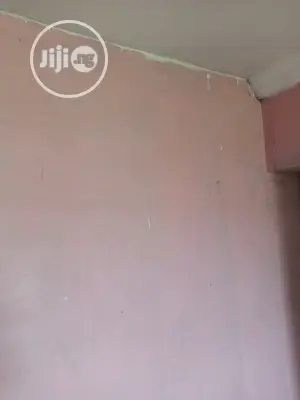 Professional House Painter