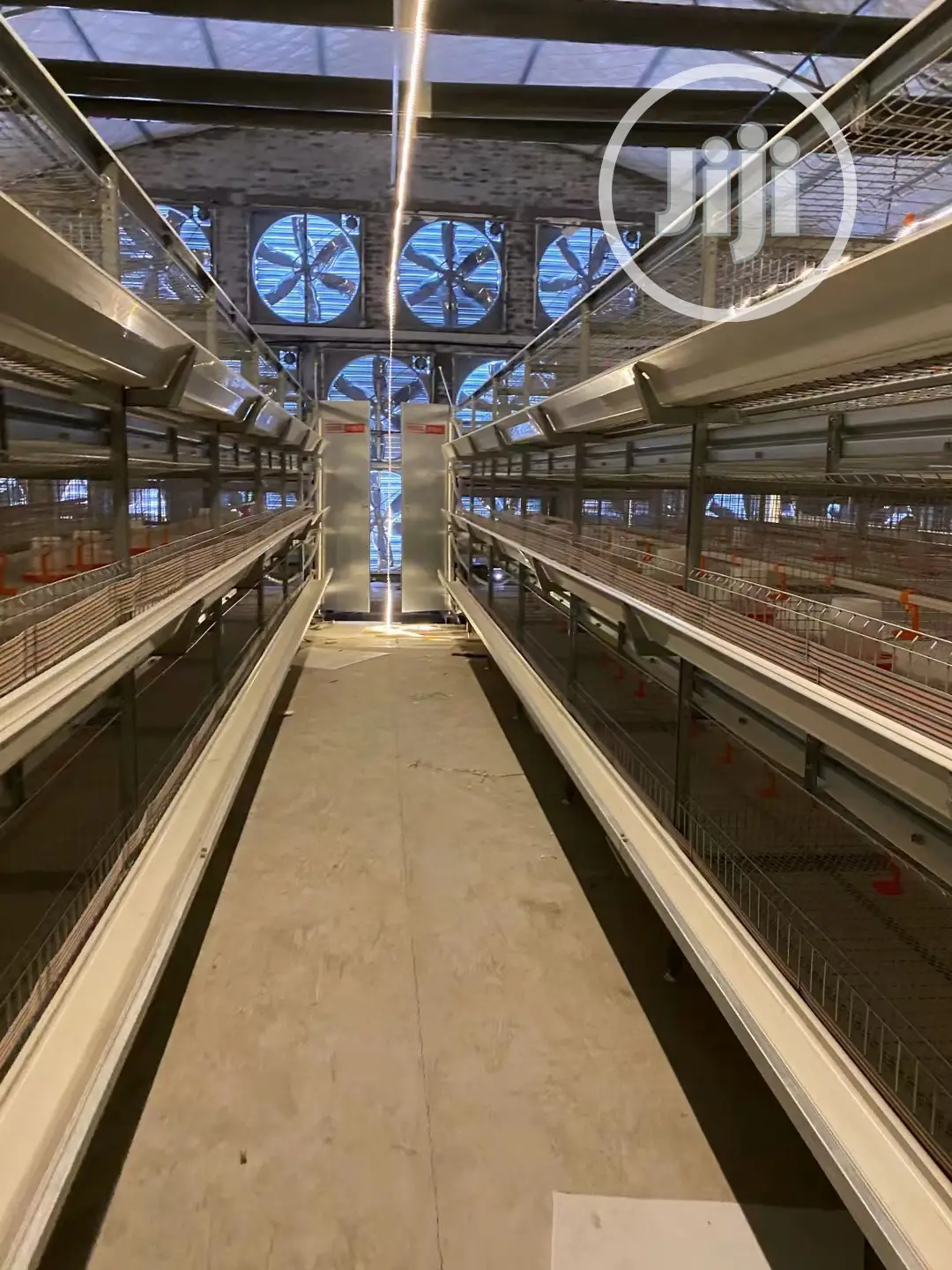 Automatic H Type Poultry Cage China Battery Cage