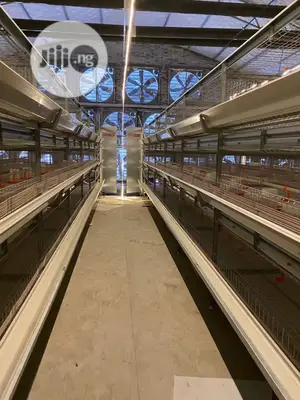 Automatic H Type Poultry Cage China Battery Cage