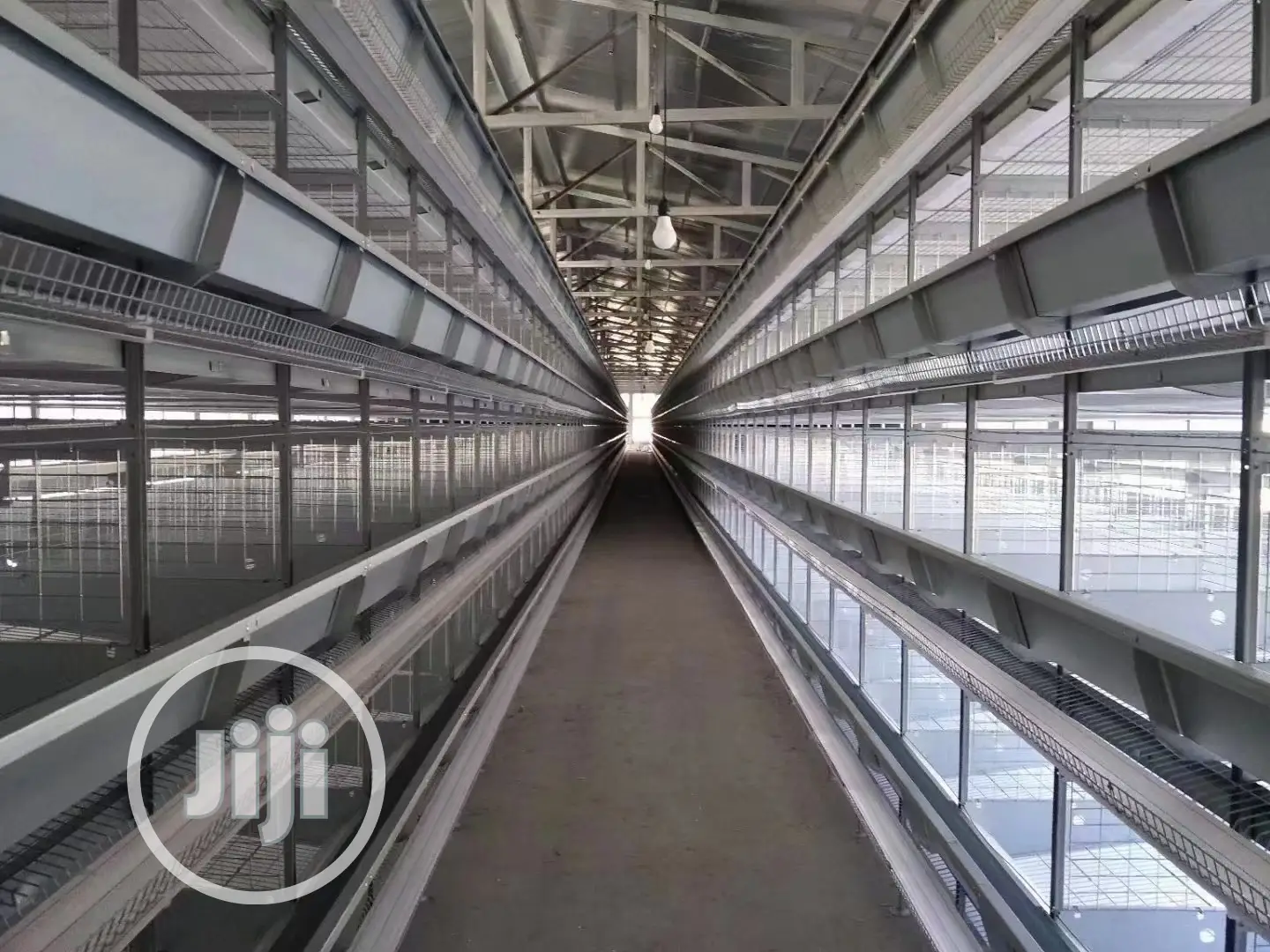 Automatic H Type Poultry Cage China Battery Cage