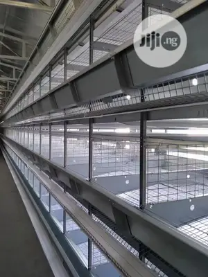 Automatic H Type Poultry Cage China Battery Cage