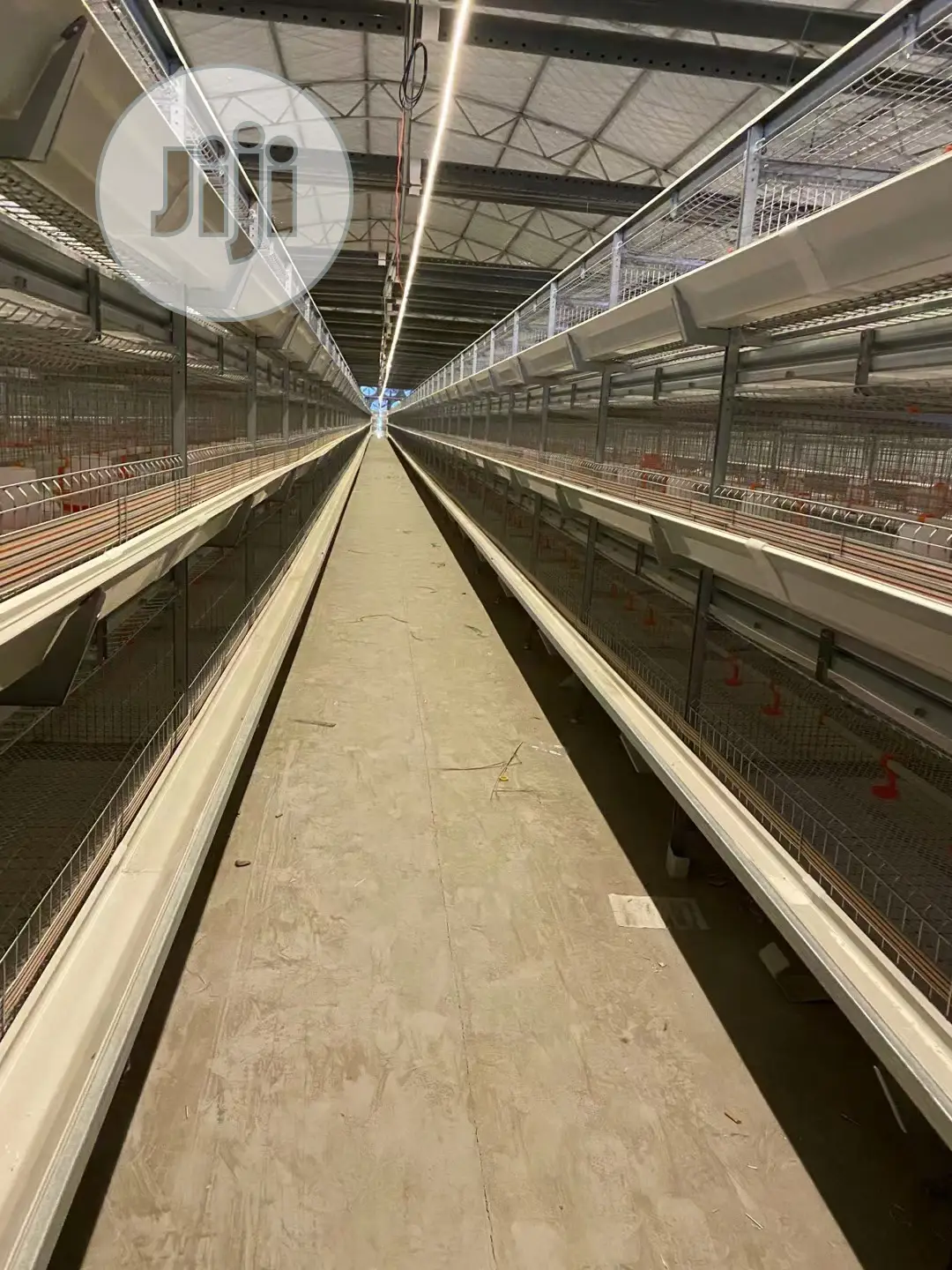 Automatic H Type Poultry Cage China Battery Cage