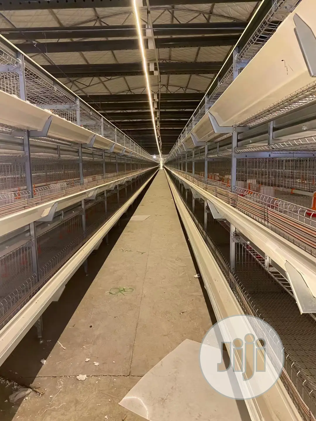 Automatic H Type Poultry Cage China Battery Cage