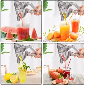 Fruit Presser Juicer