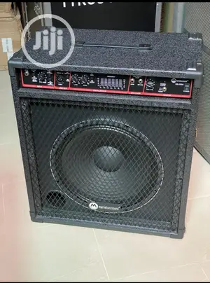 15 Inches Electric Bass Combo