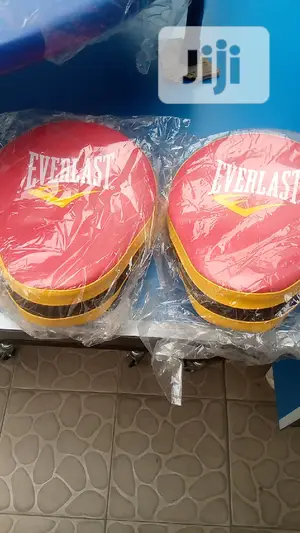 Brand New Everlast Boxing Pad