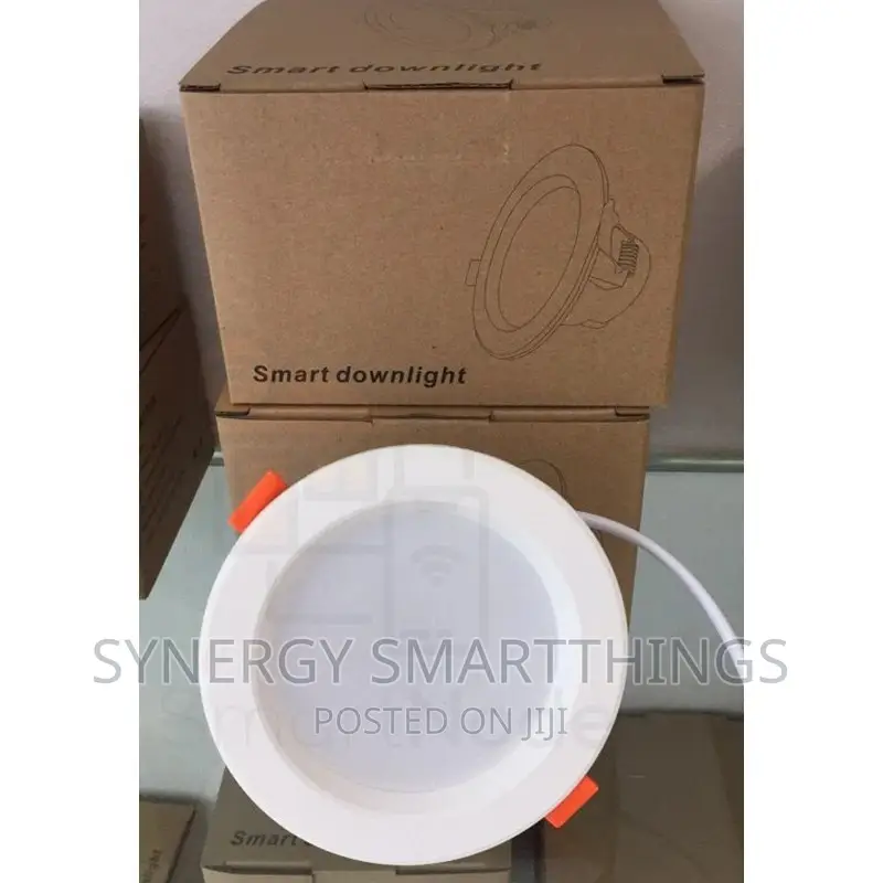 Smart LED Downlight For Ceiling 7W in Central Business District