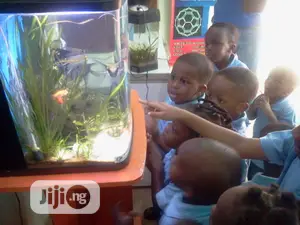 An Excursion To Aqua Zoo