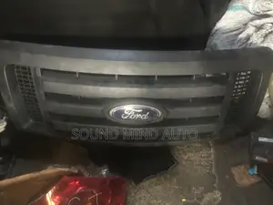 Front Grille Ford F-150 2010 Model