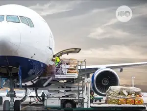 Cargo Customs Clearing Agent, Exportation Import