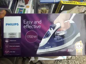 Electric Steam Iron
