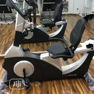 Commercial Recumbent Bike