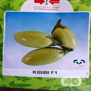 Garden Egg Seed Kibibi F1