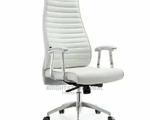 Ergonomic Office Chairs (High Quality Leather)