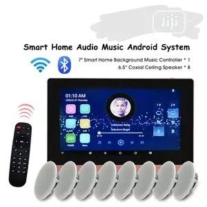Ceiling Speaker Smart Wifi Bluetooth Android Wall Amplifier