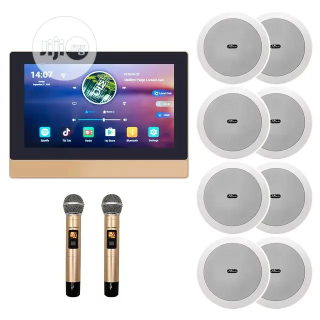 Smart Home Wifi Android Bluetooth Ceiling Speaker Amplifier