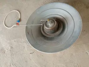 4000 Birds Capacity Gas Brooder