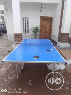 Brand New America Fitness Standerd Outdoor Table Tennis