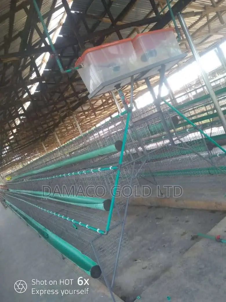 Quality Battery Cage