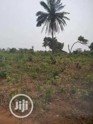 One Plot of Land at Agbowa in Ikorodu