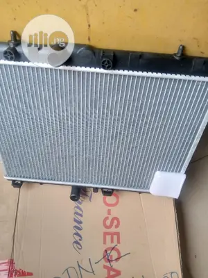 Radiator for Peogout 301