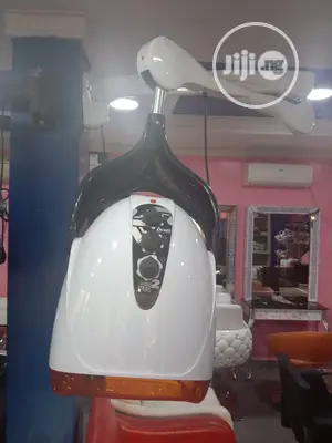 Mango Wall Dryer