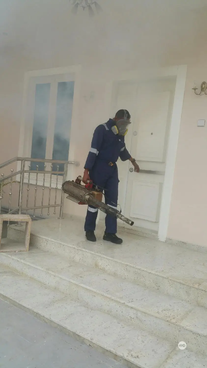 Best Fumigation Services
