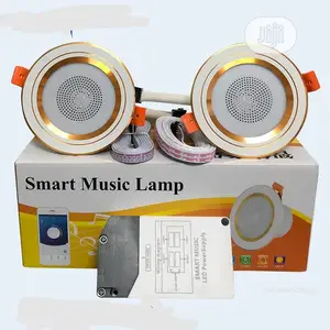 Wireless Bluetooth Lightining Ceiling Speaker