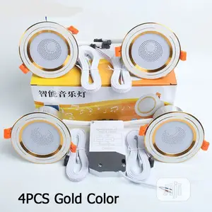 Wireless Bluetooth Lightining Ceiling Speaker