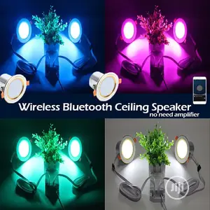 Wireless Bluetooth Lightining Ceiling Speaker