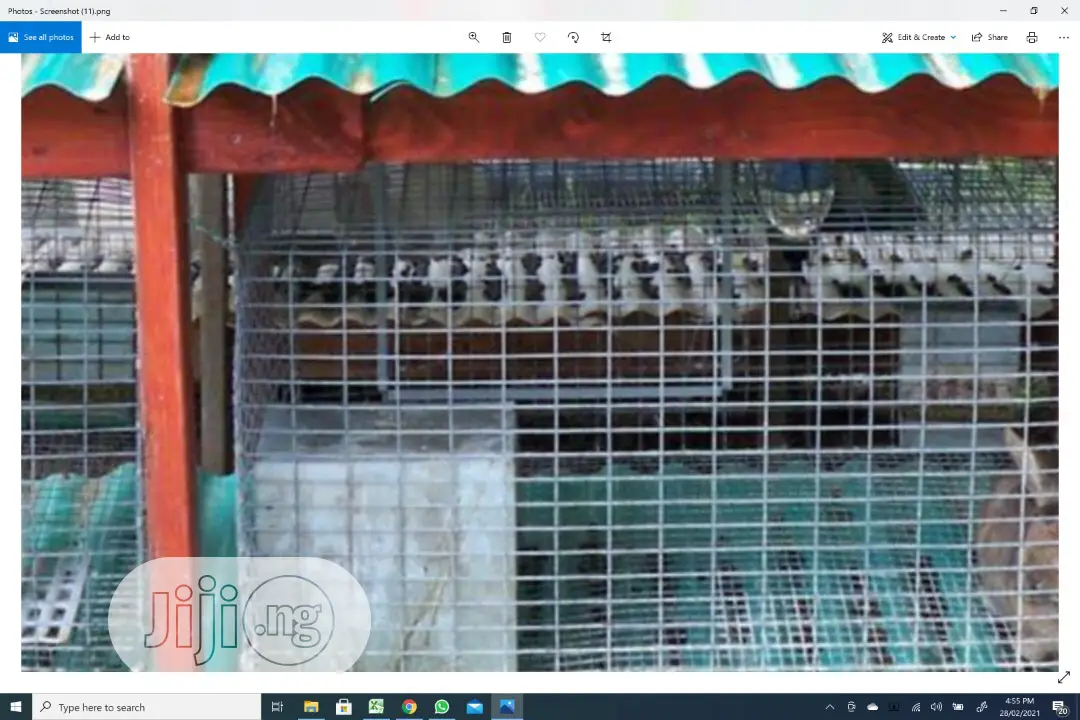 2x1 Galvanize Mesh