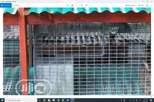 2x1 Galvanize Mesh