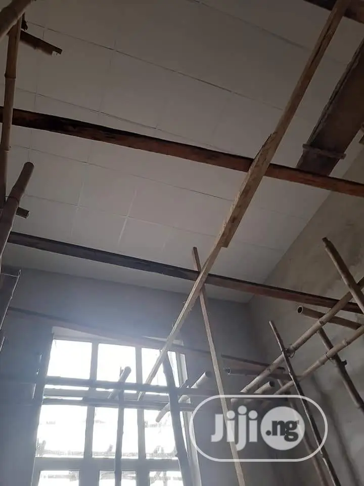 Suspended Ceilings /Accessories
