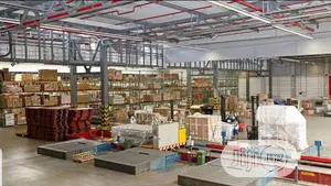 Agent for Customs Clearing, Export, Import, Door to Door