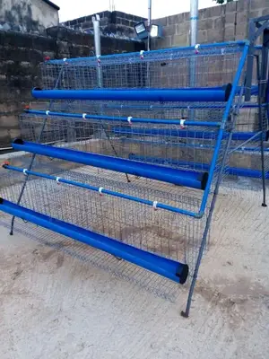 Poultry Battery Cages