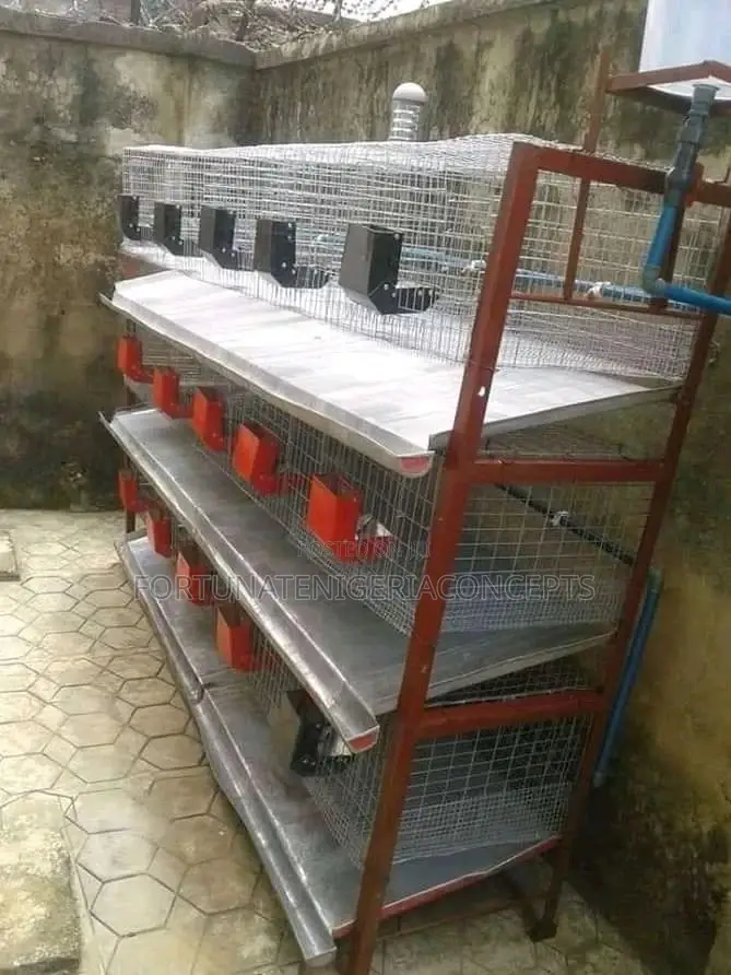 Poultry Battery Cages