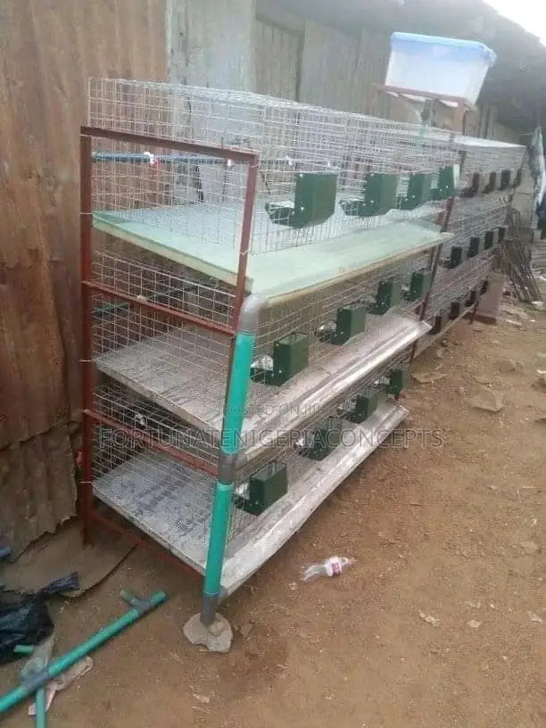 Poultry Battery Cages