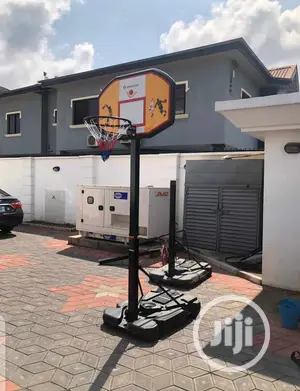 Basketball Ball Stand