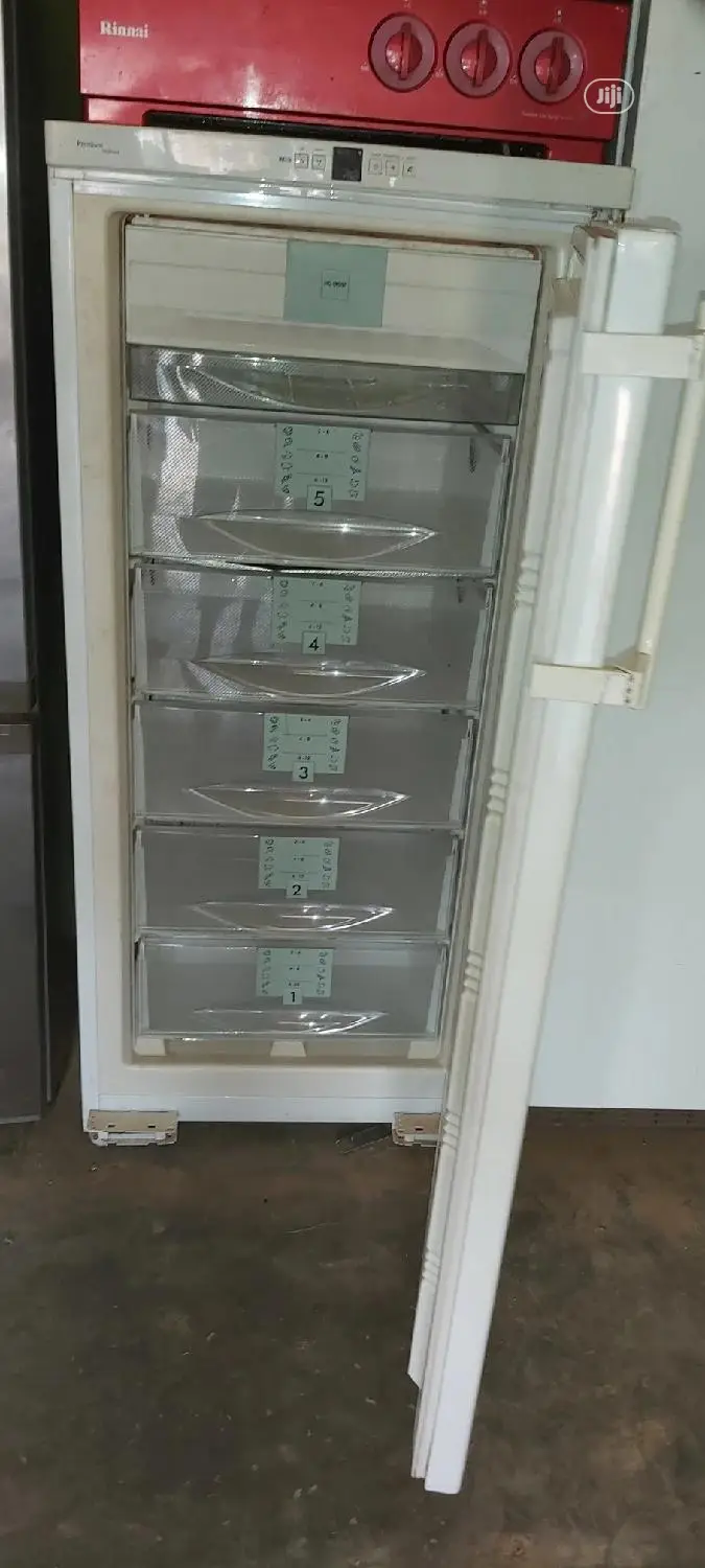 Liebherr Standing Freezer