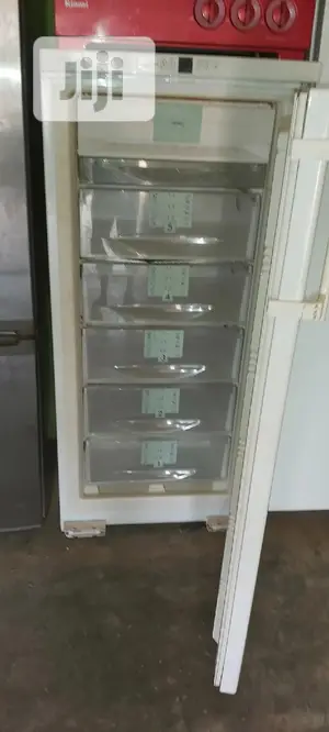 Liebherr Standing Freezer