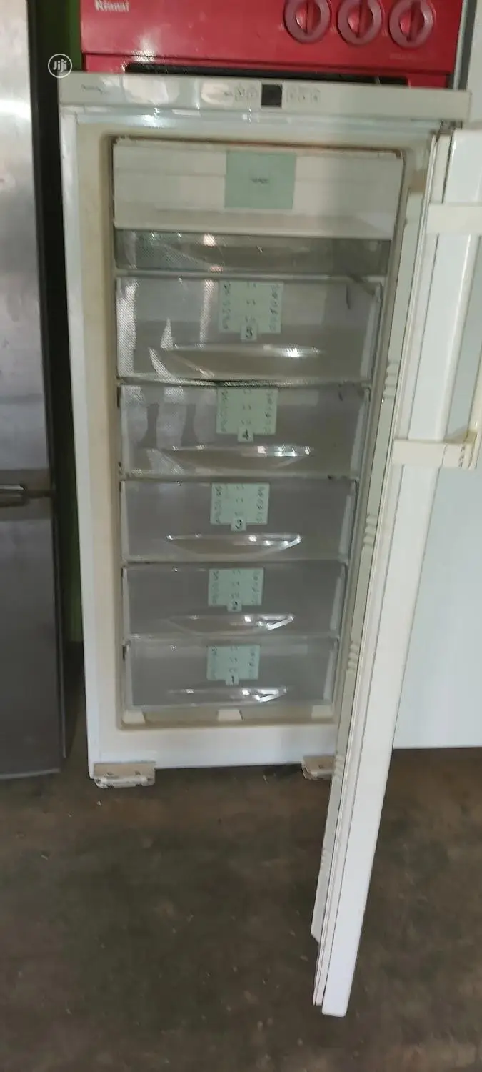 Liebherr Standing Freezer