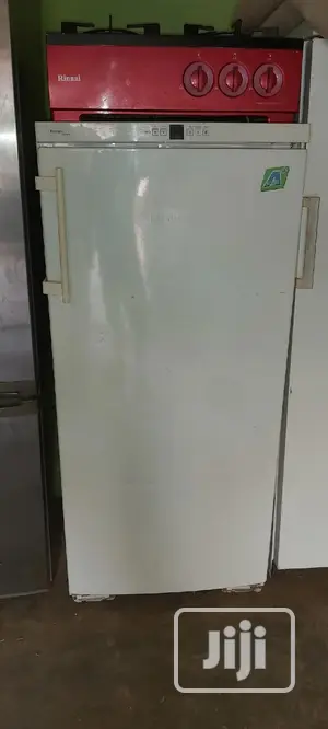 Liebherr Standing Freezer