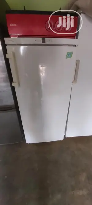 Liebherr Standing Freezer