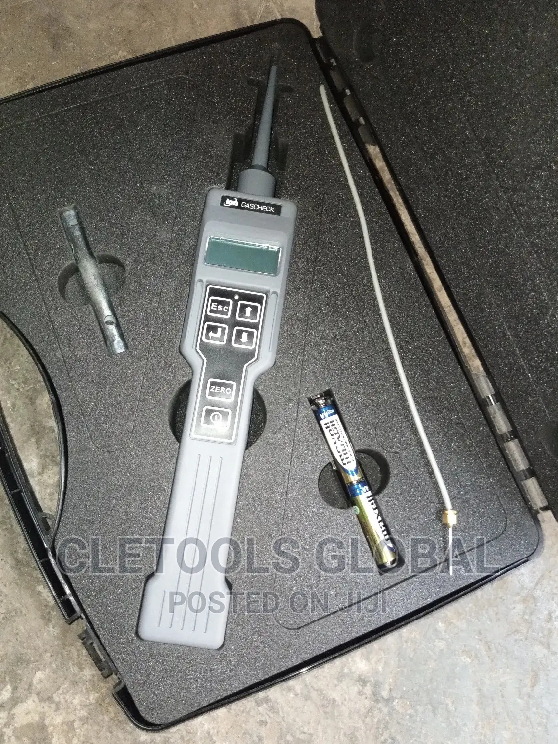 Gas Detector Ion