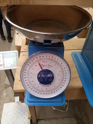 Camry Food Measuring Scale