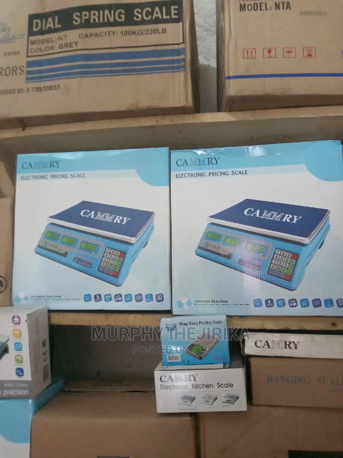 Electronic Pricing Scale