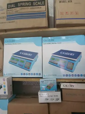 Electronic Pricing Scale