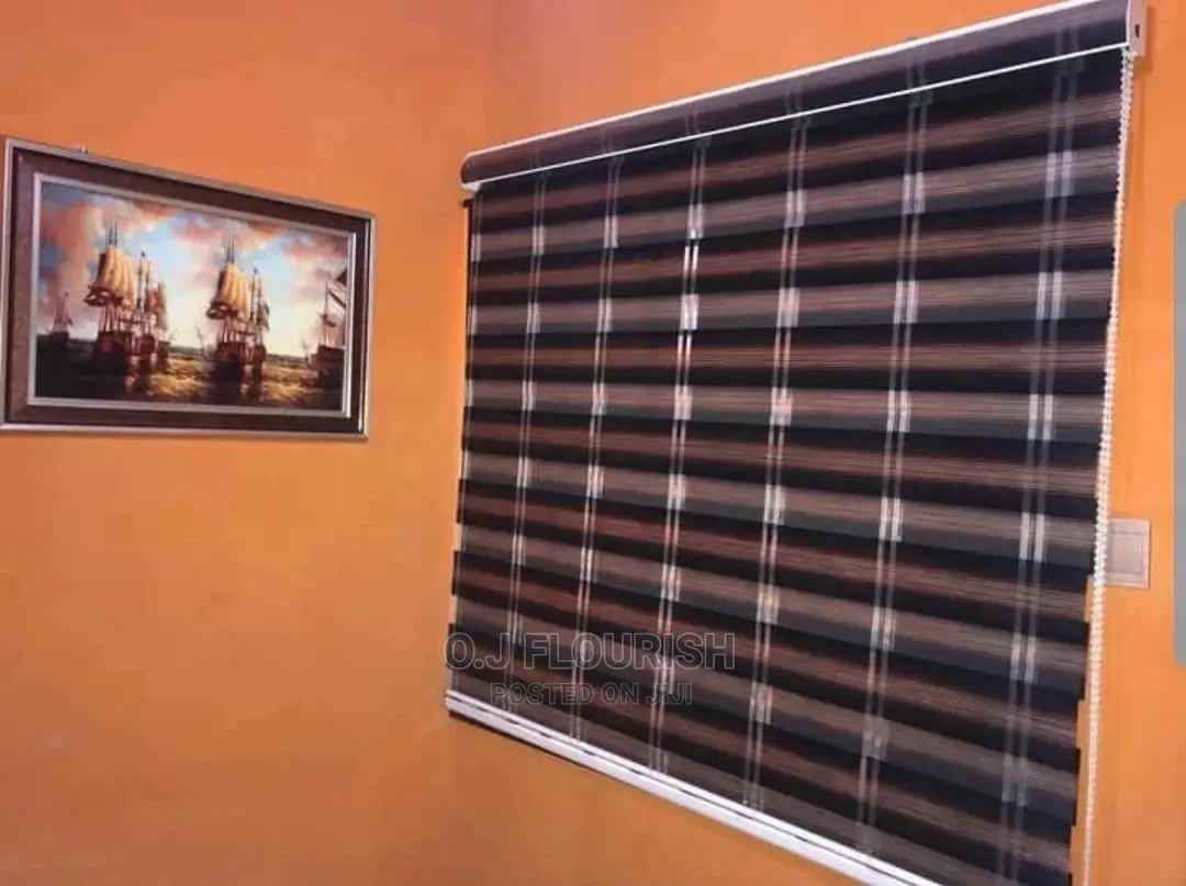 Day and Night Window Blinds