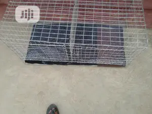 Rabbit, Rat, Cat, Guinea Pig, Pet Cages for Sale